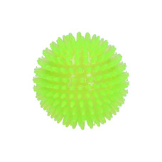 Dog Comets Exoplanet ježatý míč zelený  M/8cm