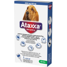 Ataxxa pro psy XL 1x2000mg/400mg tmavě modrá sol 1 x 4.0 ml(nad 25kg)