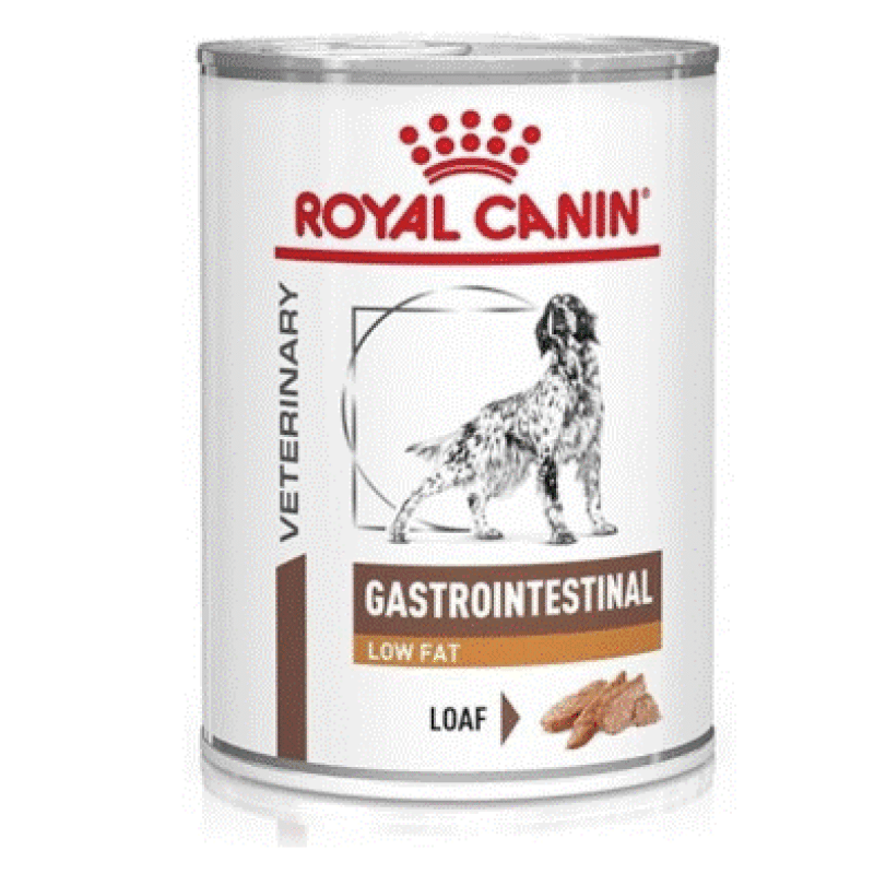 Royal Canin Veterinary Diet Adult Dog Gastrointestinal Low Fat 420 g