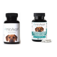 M+H VET AminAvast dog 60 tbl