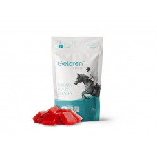 Geloren HA višňový kloubní výživa 450 g