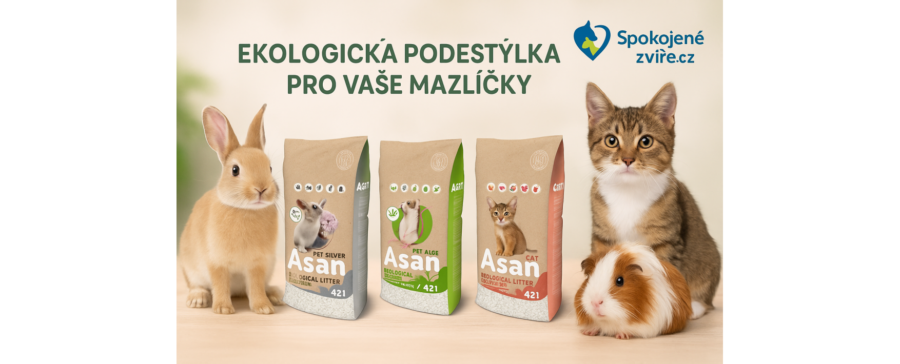 asan banner