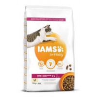 Iams Cat Senior Chicken 10kg