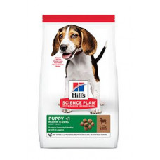 Hill's Can. SP Puppy Medium Lamb&Rice 14kg