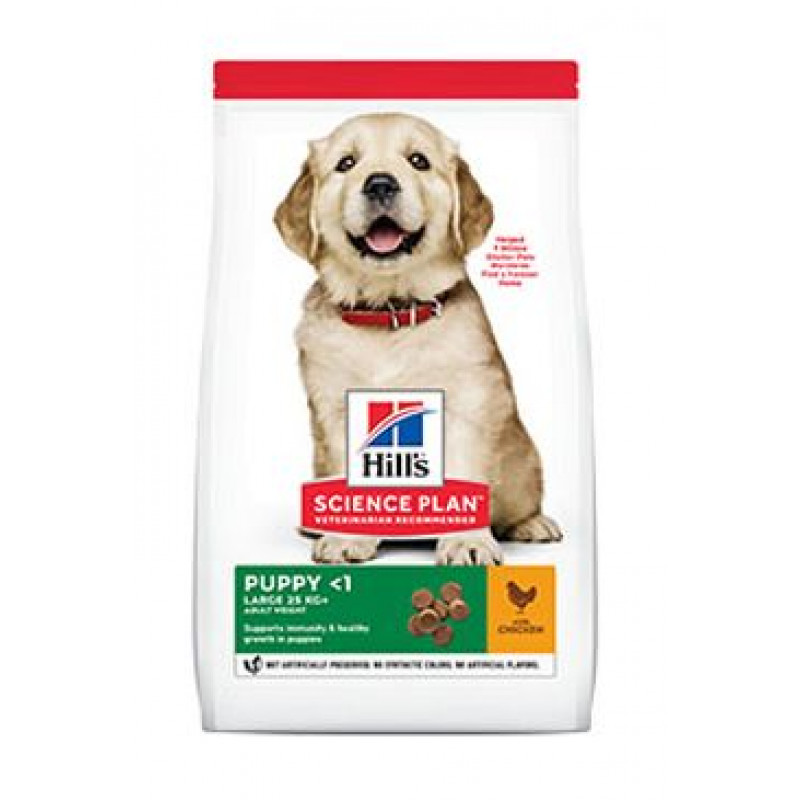 Hill's Can. SP Puppy Large Chicken 2,5kg