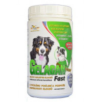 Gelacan Fast 500g