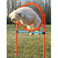 AGILITY kruh proskakovací Modrá/Oranžová 78x115cm TR