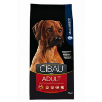 CIBAU Adult Maxi 12kg+2kg ZDARMA