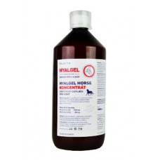 Hyalgel Horse konc. 1l