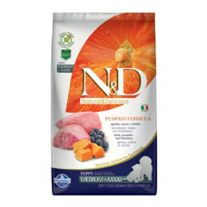 N&D Pumpkin DOG Puppy M/L Lamb & Blueberry 2,5kg