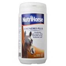 Nutri Horse Chondro Plus plv 1kg new