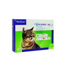 Effipro DUO Cat (1-6kg) 50/60 mg, 4x0,5ml