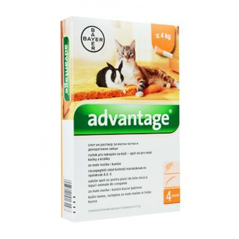 Advantage pro malé kočky a králíky 40mg 4x0,4ml