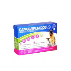 CAPRAVERUM DOG probioticum-prebioticum 30tbl