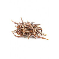 WANT Dog poch. NoodleFish 100g